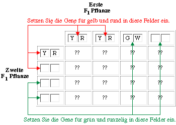 &Uuml;bung 1