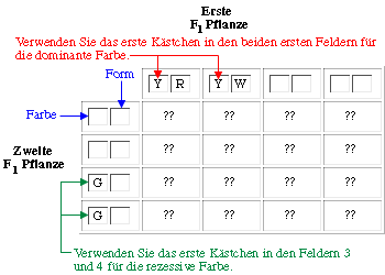 &Uuml;bung 2